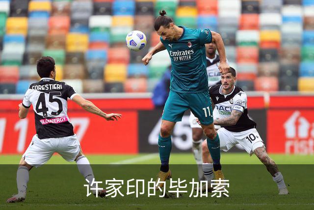 许家印的毕加索