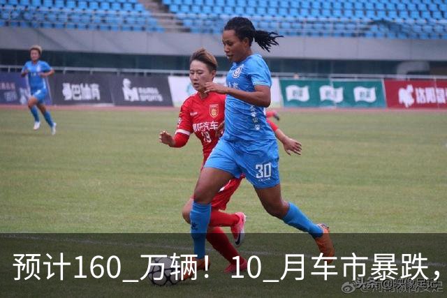 预计160 万辆！10 月车市暴跌，新能源独自托底